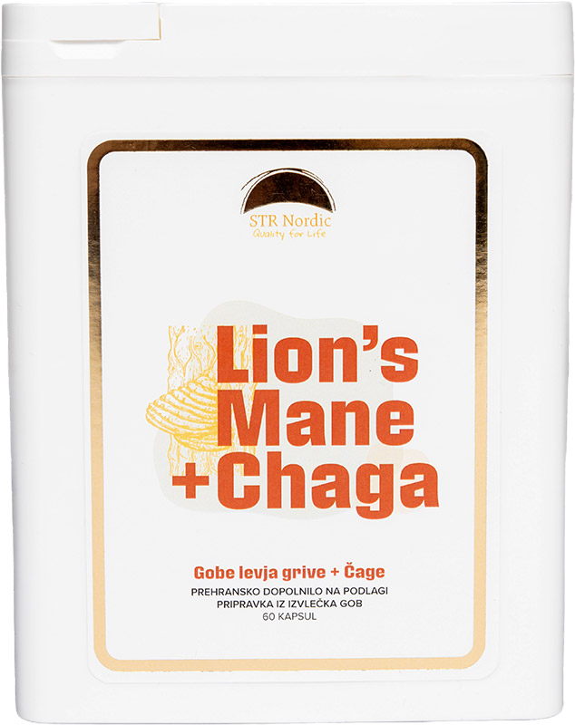 Lion's Mane & Chaga